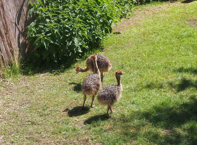 post-15035-0-77543200-1373981154_thumb.j