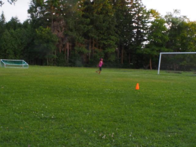 post-15035-0-80980700-1374092741_thumb.j