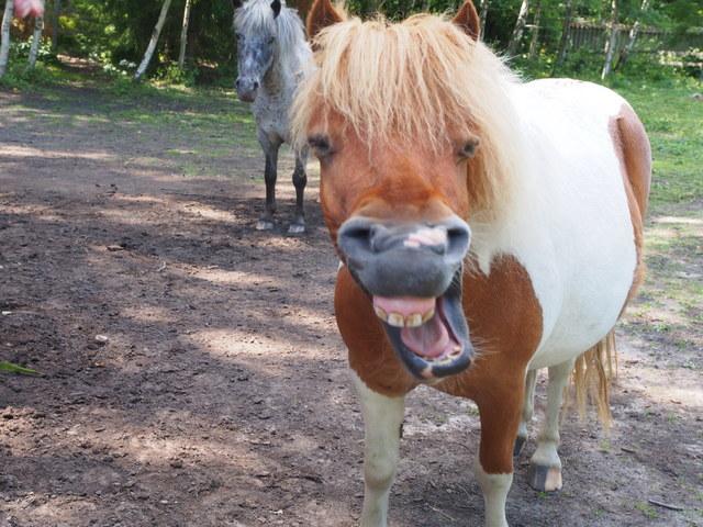 post-15035-0-81236600-1373981163_thumb.j