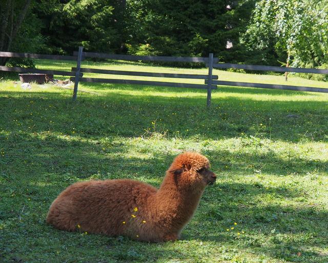 post-15035-0-95766900-1373981159_thumb.j