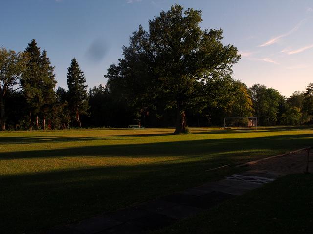 post-25435-0-87893800-1374003010_thumb.j