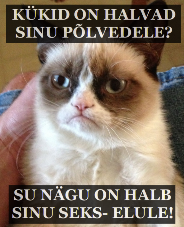 post-29847-0-85833600-1374689533_thumb.p