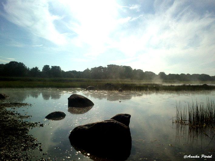 post-1184-0-75690300-1405425922_thumb.jp