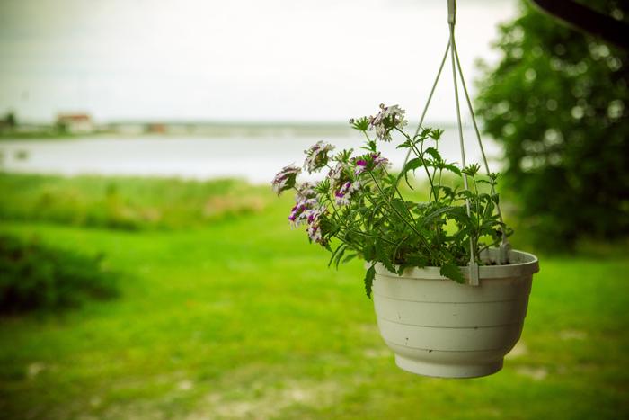 post-22113-0-38883800-1405590569_thumb.j