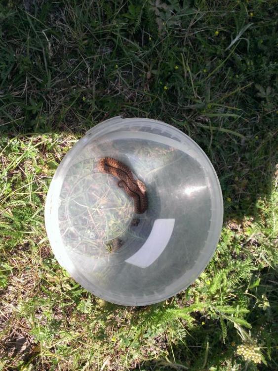 post-28465-0-18695800-1406036802_thumb.j