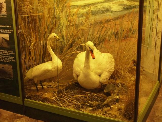 post-4814-0-04714000-1405787952_thumb.jp