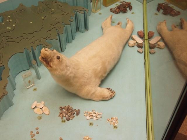 post-4814-0-18963600-1405787958_thumb.jp