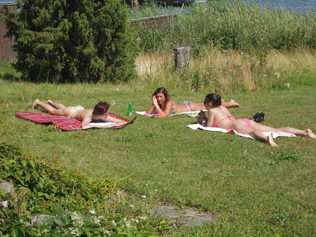 post-4814-0-22613400-1405351712_thumb.jp