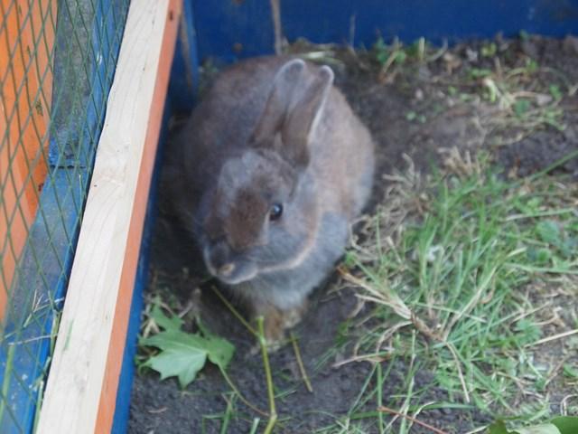 post-4814-0-23944700-1405597910_thumb.jp