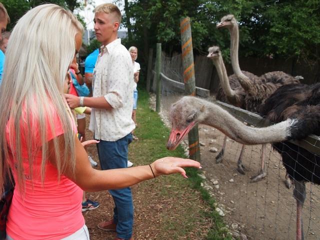 post-4814-0-47777100-1405597461_thumb.jp