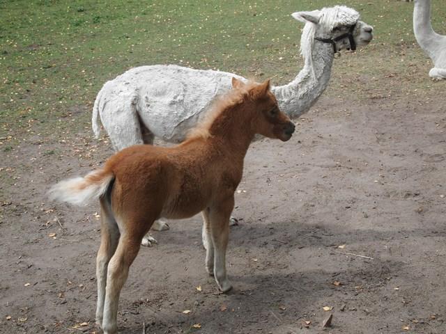 post-4814-0-50407000-1405597801_thumb.jp