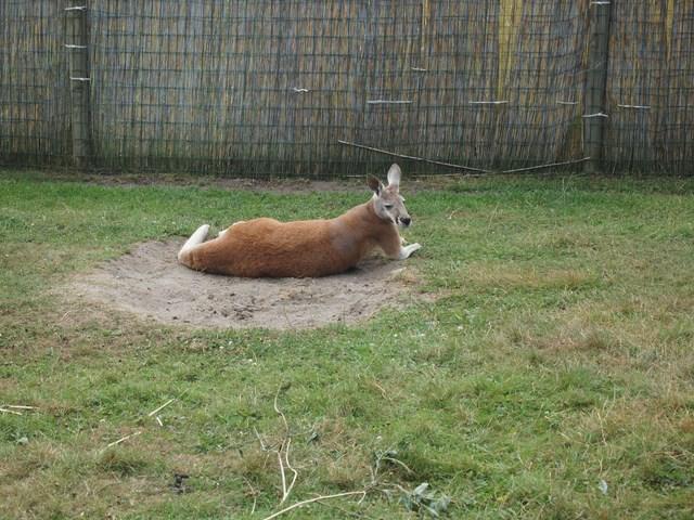 post-4814-0-72355800-1405597786_thumb.jp