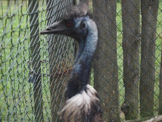 post-4814-0-75213800-1405597523_thumb.jp