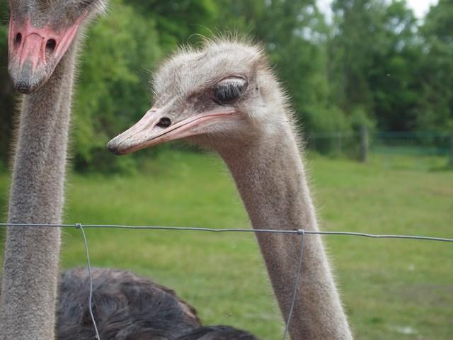 post-4814-0-80738200-1405597324_thumb.jp