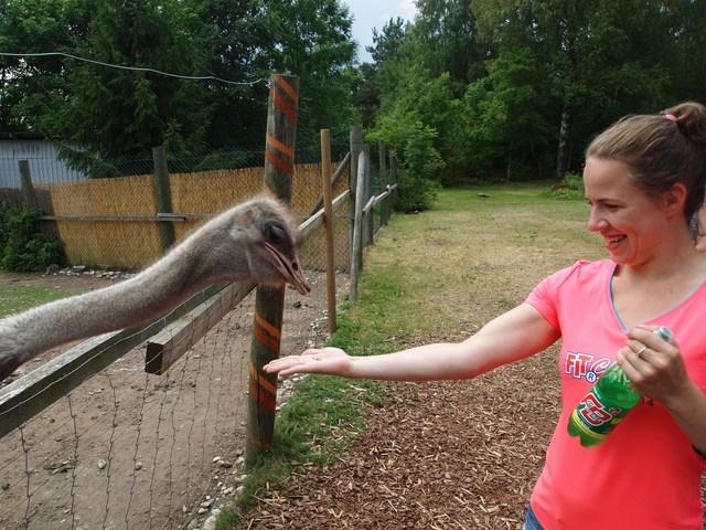 post-4814-0-84830600-1405597467_thumb.jp