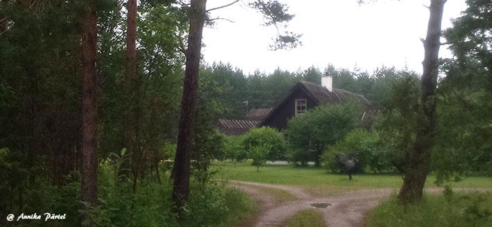 post-1184-0-63665800-1437975909_thumb.jp