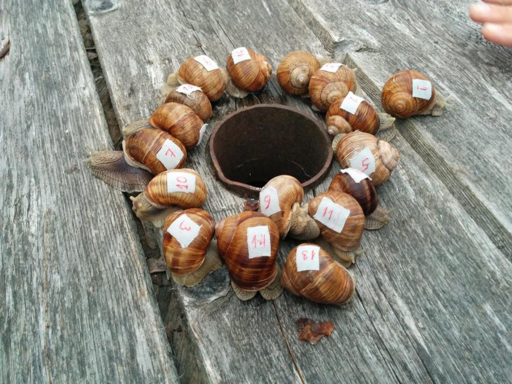 post-25435-0-41808000-1437161797_thumb.j