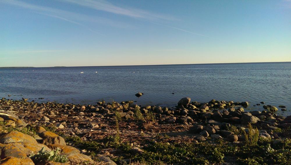 post-27979-0-31134100-1435857929_thumb.j