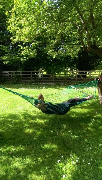 post-27979-0-52750800-1435816741_thumb.j