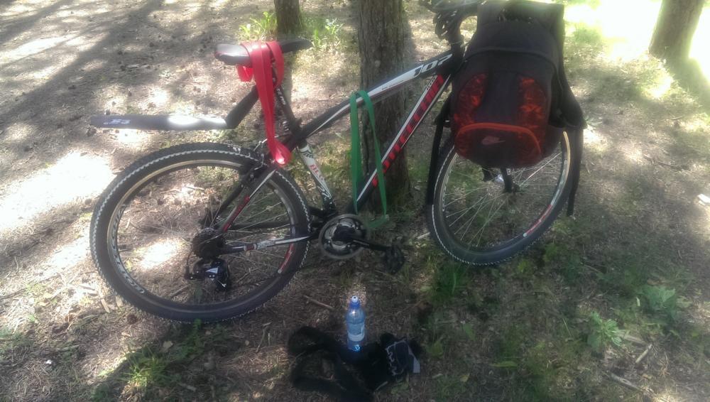 post-27979-0-97548700-1435816884_thumb.j