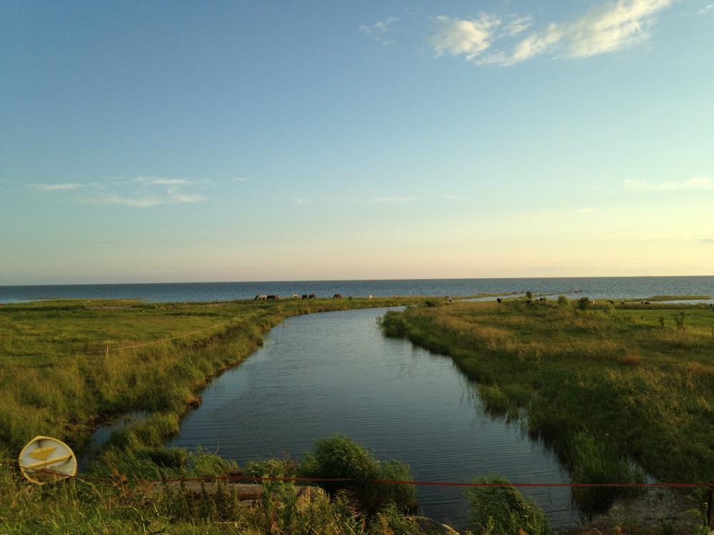 post-32533-0-78446800-1437073341_thumb.j