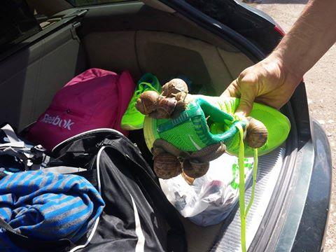 post-35988-0-51383900-1437141128_thumb.j