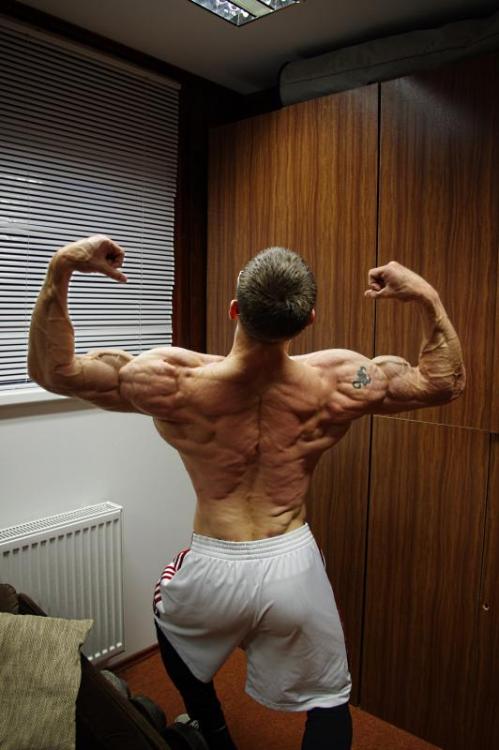 post-4071-0-26832600-1437055468_thumb.jp