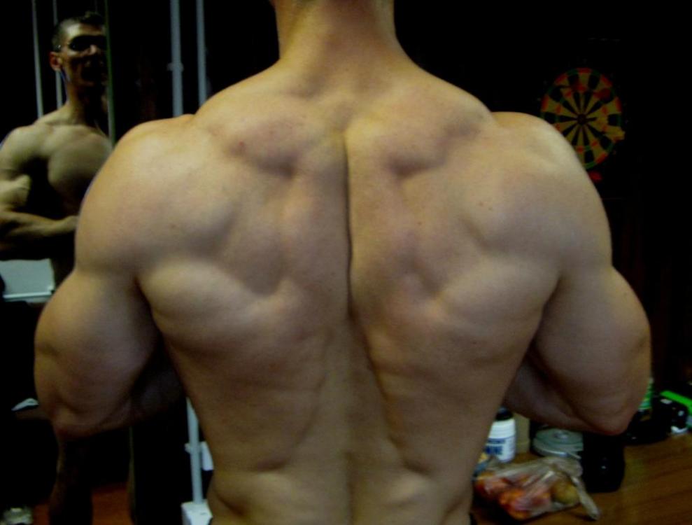 post-4071-0-43641800-1437055180_thumb.jp