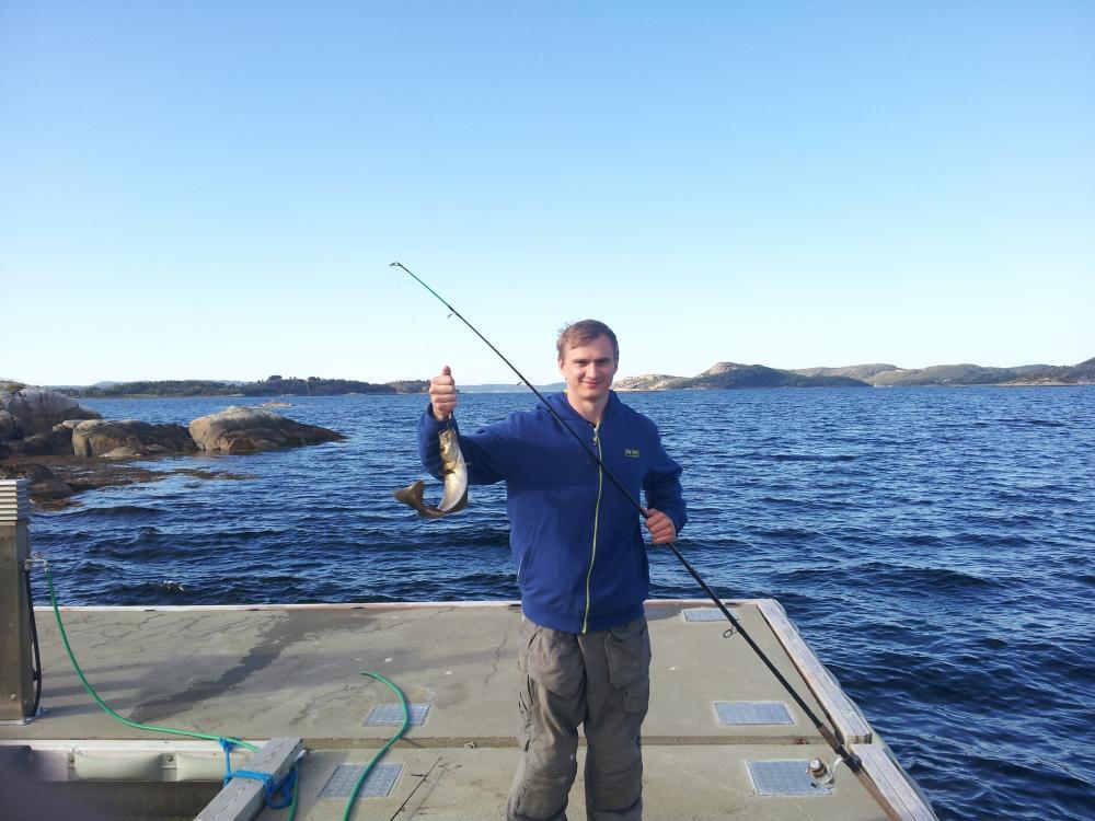 post-4814-0-98639100-1435781197_thumb.jp