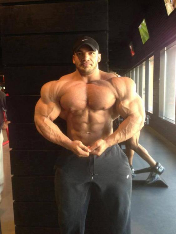 post-6888-0-97959400-1377621726_thumb.jp