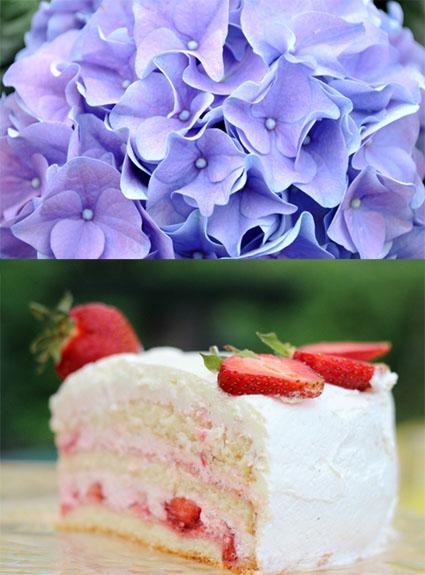 post-1184-0-03235300-1409030048_thumb.jp