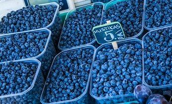 post-1184-0-48490200-1407072833_thumb.jp