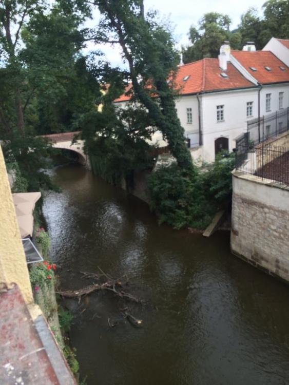 post-18803-0-47617600-1407597326_thumb.j