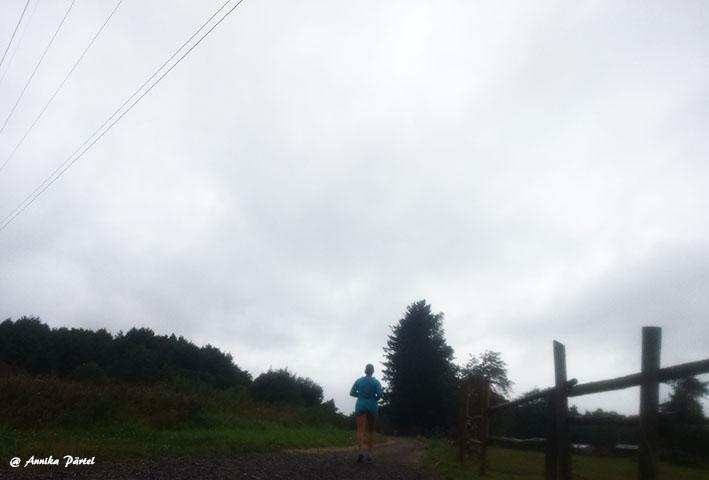 post-1184-0-93827200-1440874538_thumb.jp