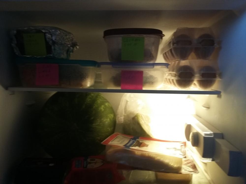 post-20041-0-86368700-1439466972_thumb.j