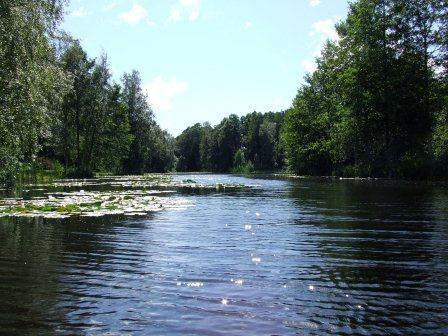 post-26029-0-66823500-1439455865_thumb.j