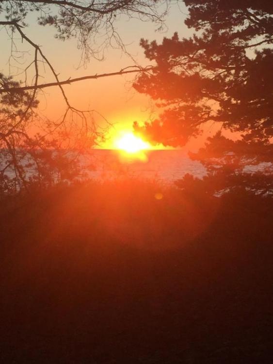 post-26157-0-46469400-1439841273_thumb.j