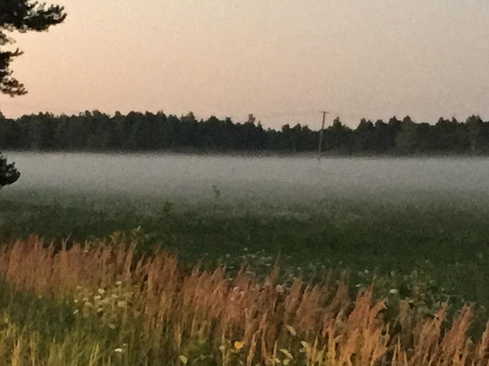 post-26157-0-64729700-1439841052_thumb.j