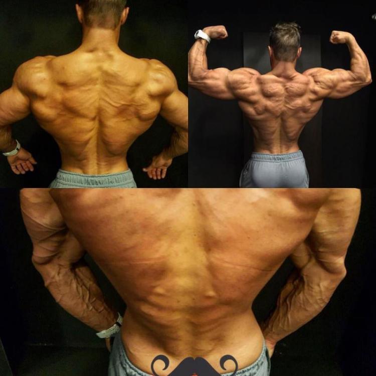 post-6888-0-43748700-1440647474_thumb.jp