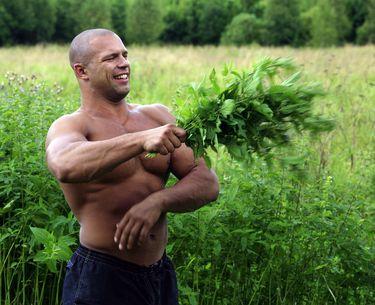 post-3216-0-16289800-1379670831_thumb.jp