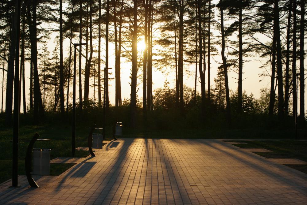 post-1184-0-72198300-1411884208_thumb.jp