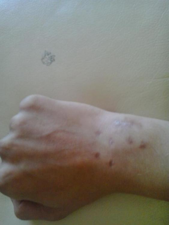 post-15103-0-21073600-1410253372_thumb.j