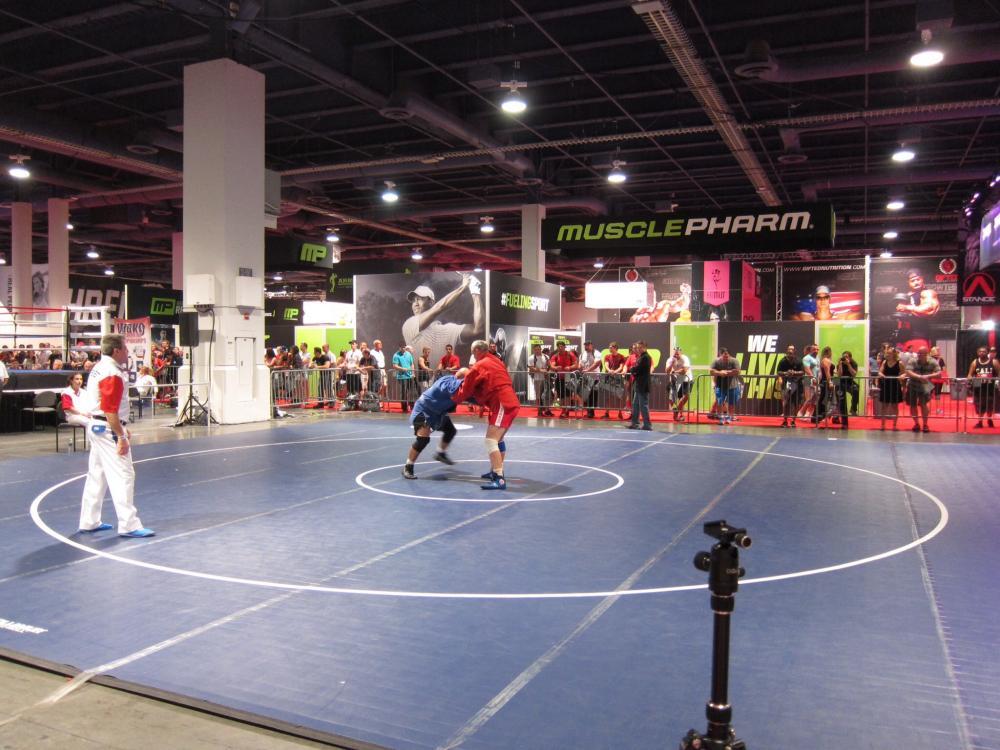 post-1570-0-53460200-1411166373_thumb.jp