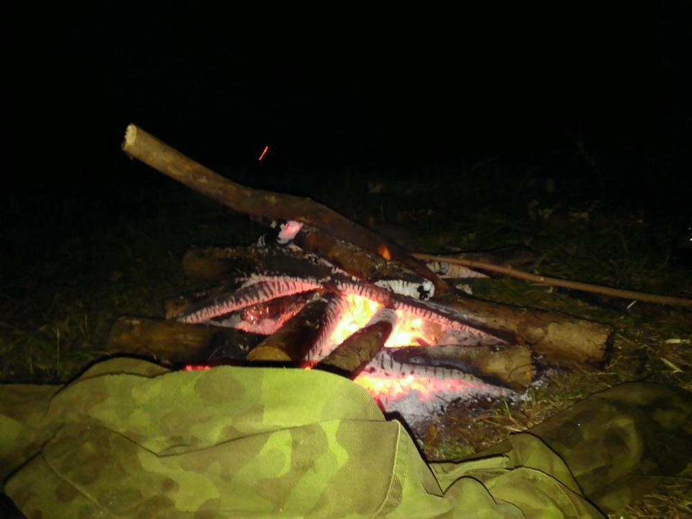 post-28465-0-19249200-1411401477_thumb.j