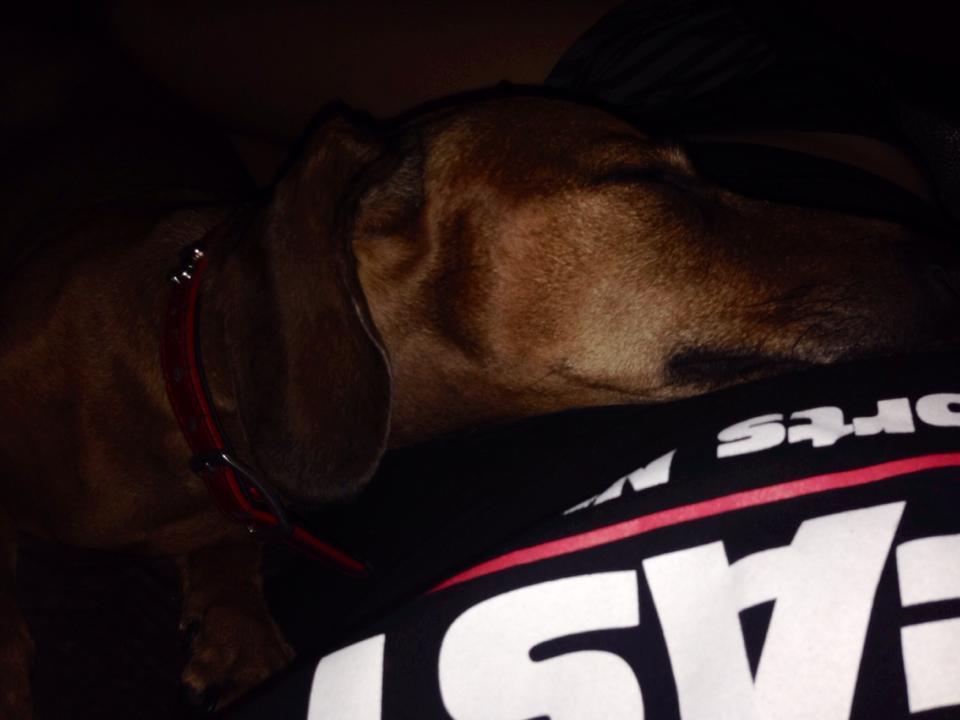 post-28465-0-70461100-1412100599_thumb.j