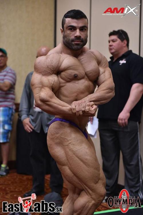 post-6888-0-92618200-1411049355_thumb.jp