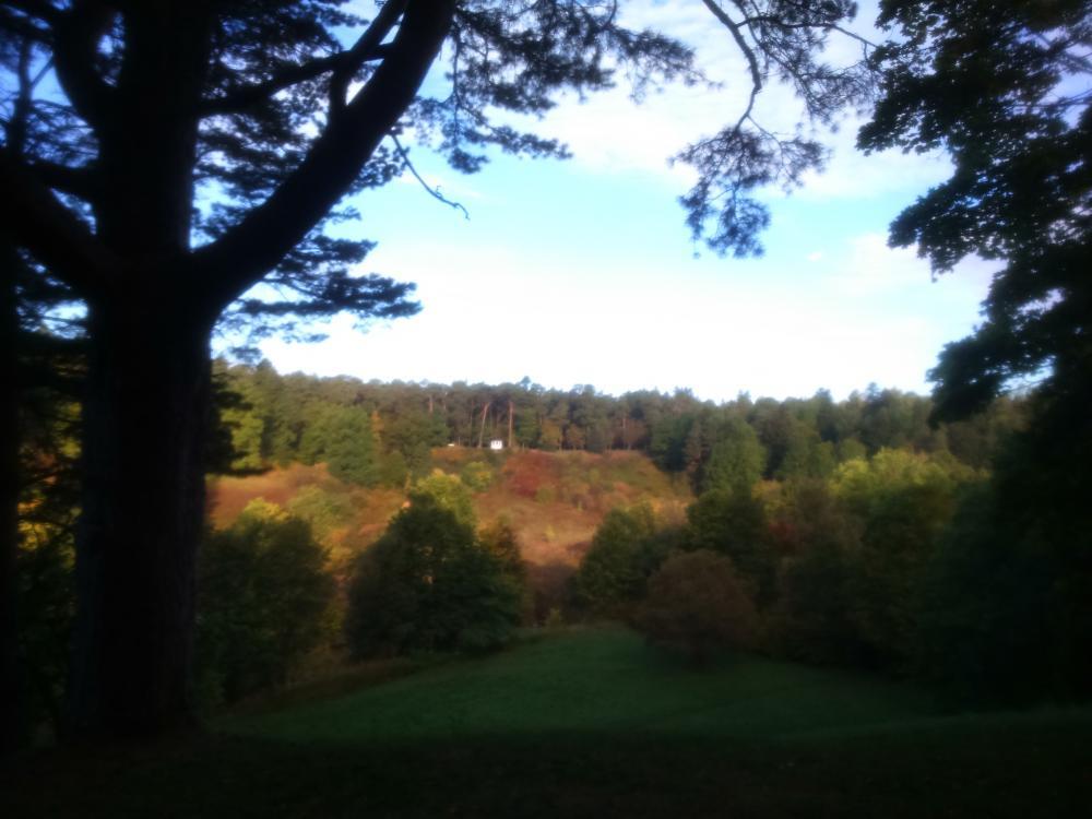 post-1184-0-49768200-1442813875_thumb.jp