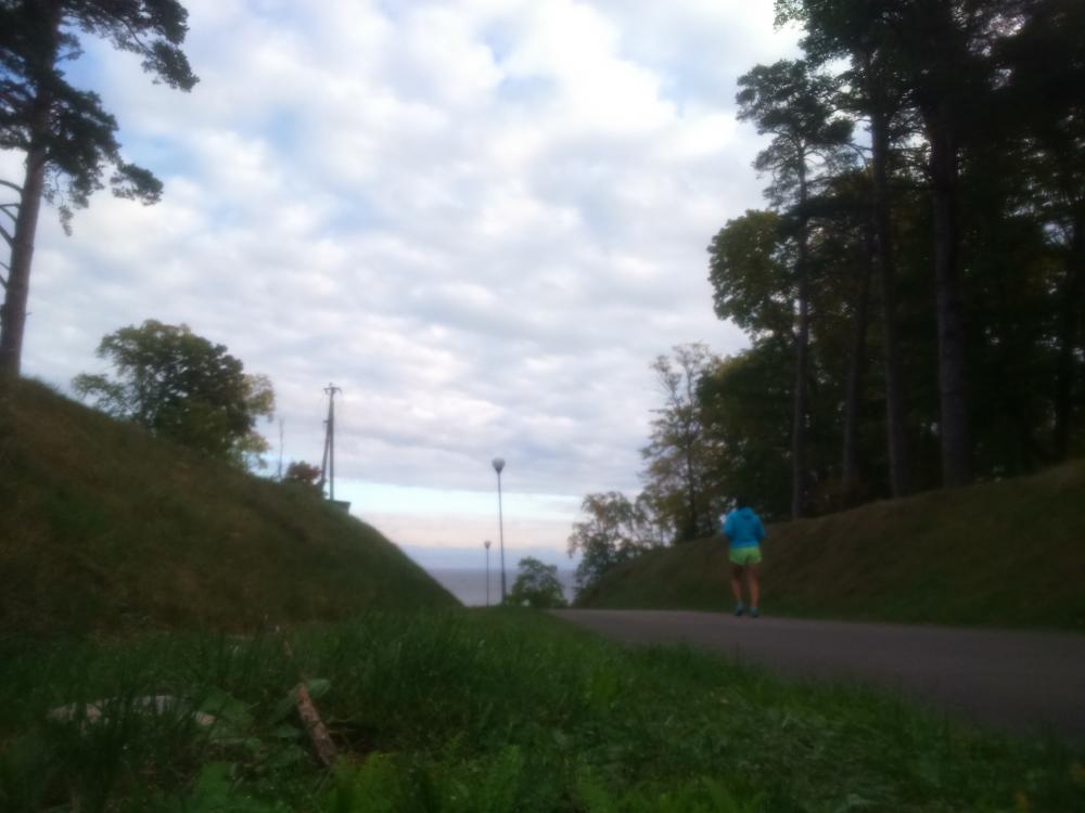 post-1184-0-62827700-1442813818_thumb.jp