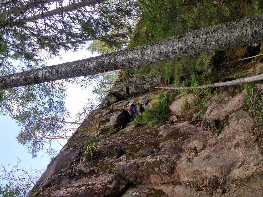 post-28465-0-67096000-1441790017_thumb.j