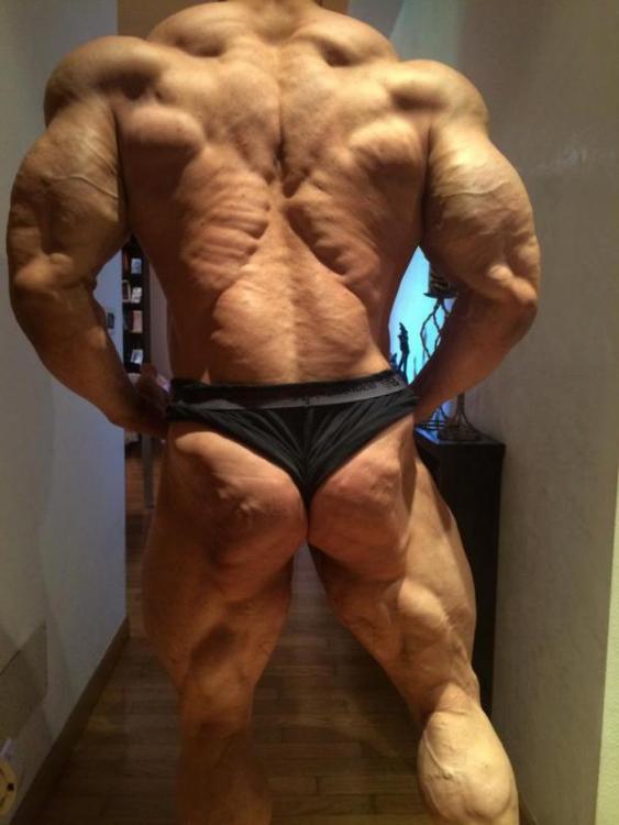 post-6888-0-09239900-1443591909_thumb.jp